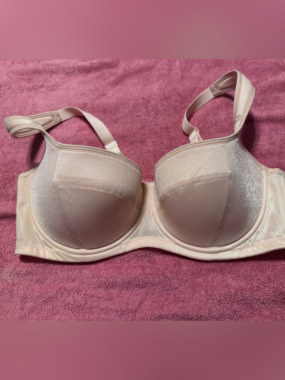 Women's Shimmery HSIA Underwire Bra